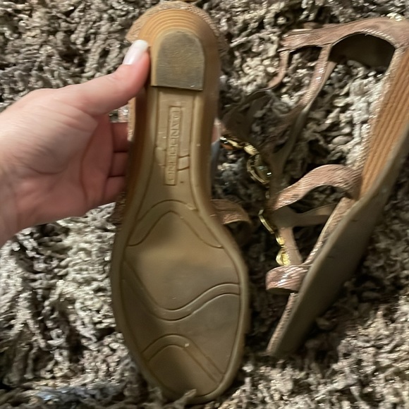 BANDOLINO - Picture 4 of 6